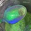 Sheenbow Bulk Order Price Chameleon Pigment Powder for Cosmetic 9539